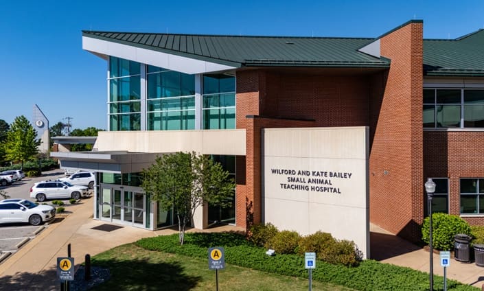 Auburn University Small Animal Teaching Hospital in Auburn, Alabama with brickwork from C&C Masonry